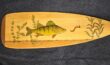Paddles